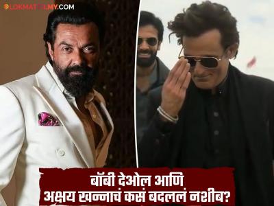 अबरारची दहशत अन् रहमान डकैतचा स्वॅग! पडद्यावरच्या 'बॅड बॉईज'ने कशी लुटली लाइमलाइट?