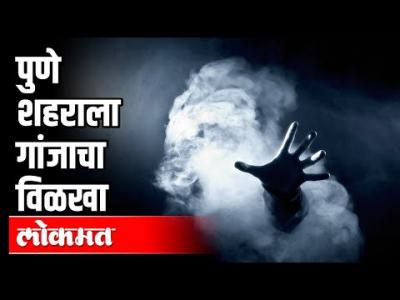 पुणे शहर Ganjaच्या विळख्यात | Maharashta Crime | Pune News