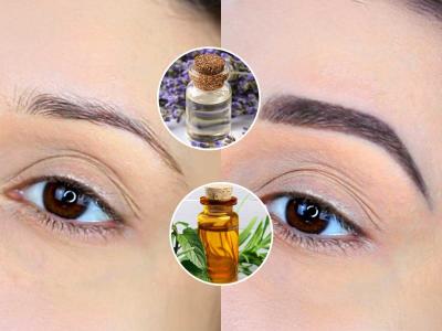 दाट भुवयांसाठी ५०० रुपयांची आयब्रो पेन्सिल नको! 'या' पद्धतीने भुवयांना लावा तेल- देसी उपाय, भुवयांचे सौंदर्य राहिल कायम