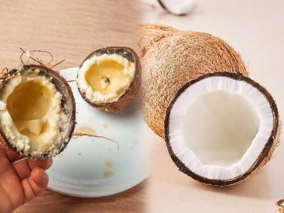 नारळ फोडलं की २ दिवसांत खोबऱ्याला आंबूस वास येतो, बुरशी लागते? ५ ट्रिक्स-ओलं खोबरेल टिकेल महिनाभर