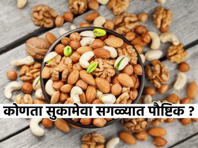 काजू-बदाम की अंजीर, सर्वात पौष्टिक सुकामेवा कोणता? कुणी काय खावं, काय टाळावं..