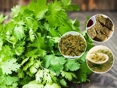 स्वस्त मिळाली कोथिंबीर की लगेच करा कोथिंबीरीचे ५ चविष्ट पदार्थ, विस्मरणात गेलेल्या सुंदर रेसिपी