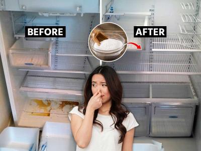 फ्रीजची दुर्गंधी घालवण्यासाठी रुपयाही खर्च करू नका, ५ सोपे उपाय, झटपट स्वच्छ होईल फ्रीज- कुबट वासही येणार नाही