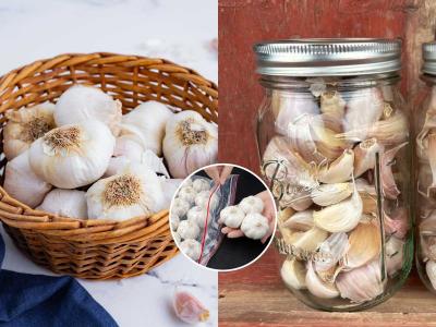 स्वयंपाकघरात 'असा' साठवा लसूण, महिनोंमहिने होणार नाही खराब, बुरशीचंही नो टेन्शन, काळाही पडणार नाही