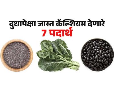 दुधापेक्षा ५ पट जास्त कॅल्शियम देणारे ७ पदार्थ; रोज खा-हाडं होतील बळकट, मजबूत
