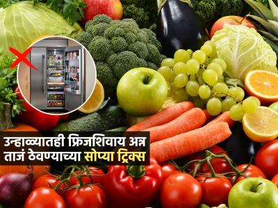 भाजीपाल्यापासून दुधापर्यंत फ्रिजशिवाय सर्व काही राहील ताजं! उन्हाळ्यात अन्न खराब न होण्यासाठी ८ स्मार्ट ट्रिक्स...