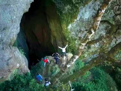 २० कोटीचं बजेट अन् कमाई २४० कोटी! मैत्रीचा अर्थ उलगडणारा 'हा' चित्रपट डोळ्यात आणेल पाणी, तुम्ही पाहिलात?