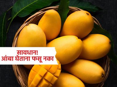 थांबा! पिवळेधमक आंबे पाहून भुलू नका; केमिकलने पिकवलेले नाही ना? विकत घेताना 'हे' पाहाच