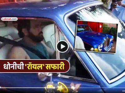 VIDEO: क्लासिक!! धोनीने रांचीच्या रस्त्यावर चालवली व्हिंटेज आलिशान 'रॉल्स-रॉयस'; चाहते खुश