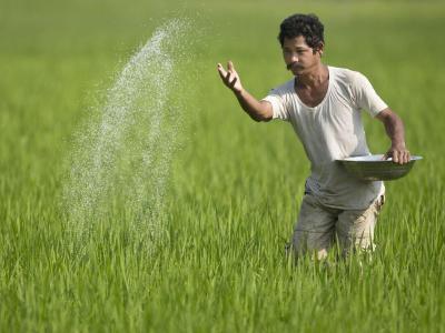 शेतकरी मित्र आणि भाऊ : - Marathi News | Nag Panchami 2025 Upvas for Brother | Latest bhakti Photos at Lokmat.com शेतकरी मित्र आणि भाऊ : - Marathi News | Nag Panchami 2025 Upvas for Brother | Latest bhakti Photos at Lokmat.com