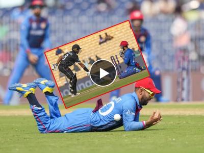 NZ vs AFG Live : इंग्लंडला लोळवल्यानंतर 'हवेत' उडणारे अफगाणी खेळाडू जमिनीवर आपटले, पाहा Video 