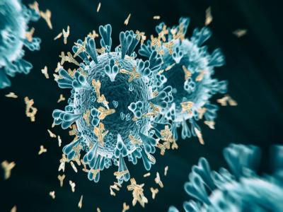 Coronavirus : वॅक्सीनने एकदा शरीरात तयार झालेल्या Antibodies आयुष्यभर कोरोनापासून वाचवणार का?
