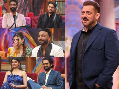 Bigg Boss 19: "मी तुझ्यासोबत काम करेन...", 'बिग बॉस'च्या घरातील 'या' स्पर्धकाला सलमान खानने दिली थेट ऑफर