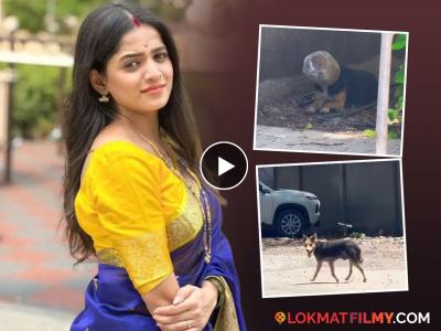 श्वानाचं तोंड प्लास्टिकच्या बरणीत अडकलं, ३ दिवस अन्नाविना तडफड; अभिनेत्रीनं वाचवला जीव