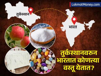 पाकिस्तानला पाठिंबा देणाऱ्या तुर्कस्थानचा बहिष्कार? भारत कोणत्या वस्तू आयात करतो?
