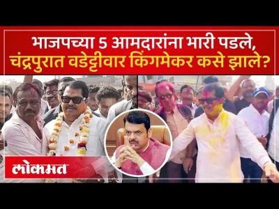 चंद्रपूरमध्ये 10 पैकी 7 नगर परिषद जिंकल्या, वेडेट्टीवार यांनी काय जादू केली? | Election | BJP