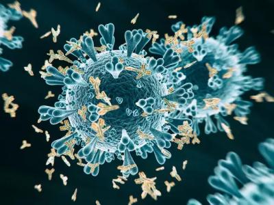 समोर आली अँटीबॉडीची उपयुक्तता - Marathi News | समोर आली अँटीबॉडीची उपयुक्तता | Latest international Photos at Lokmat.com समोर आली अँटीबॉडीची उपयुक्तता - Marathi News | समोर आली अँटीबॉडीची उपयुक्तता | Latest international Photos at Lokmat.com