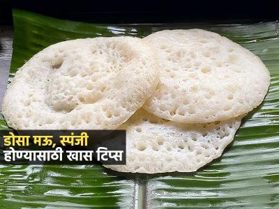 गाडीवर मिळतो तसा मऊ, जाळीदार डोसा घरीच करा; १० ट्रिक्स, परफेक्ट स्पंजी होईल डोसा