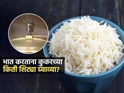 कोणता तांदूळ वापरता? कुठल्या तांदळासाठी किती शिट्टी घ्याव्यात पाहा, मऊ-मोकळा शिजेल भात