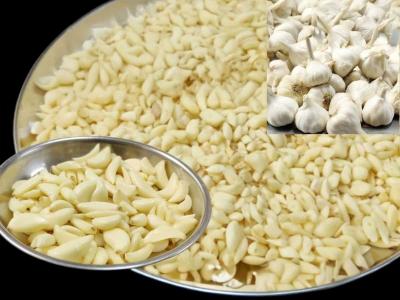 २ सेकंदात लसूण सोलण्याचं काम होईल; ७ ट्रिक्स, झटपट सोलून होतील टोपलीभर लसूण