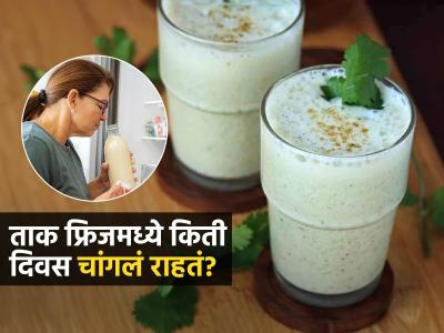 ताक फ्रिजमध्ये ठेवल्यास ते दिवसांच्या आत प्यावं, ताक किती वेळ चांगलं राहतं?