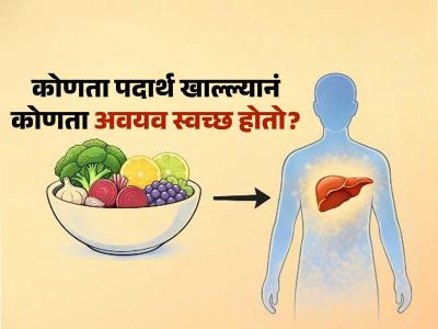 कोणते पदार्थ खाल्ल्यानं शरीरातील कोणता अवयव स्वच्छ होतो? १० पदार्थ- १० फायदे, पाहा