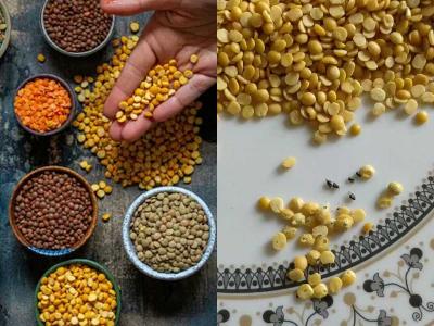 वर्षभराची डाळ साठवून ठेवताना लक्षात ठेवा २ सोप्या टिप्स- डाळींमध्ये कधीच किडे होणार नाहीत