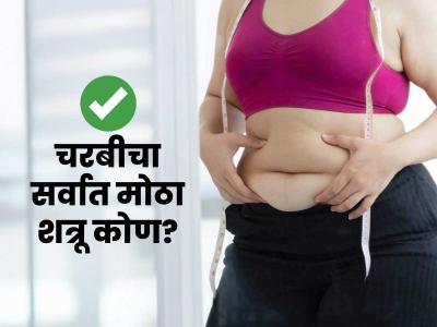 शरीरात वाढलेल्या चरबीचा खरा शत्रू कोण? १० टिप्स, मेणासारखी चरबी वितळवण्याचं सोपं गणित