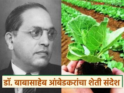 Give agriculture the status of industrialization! Indian agriculture will become profitable; Dr. Babasaheb Ambedkar | शेतीला औद्योगिकीकरणाचा दर्जा द्या! भारतीय शेती पैसे देणारी होईल; डॉ बाबासाहेब आंबेडकर Give agriculture the status of industrialization! Indian agriculture will become profitable; Dr. Babasaheb Ambedkar | शेतीला औद्योगिकीकरणाचा दर्जा द्या! भारतीय शेती पैसे देणारी होईल; डॉ बाबासाहेब आंबेडकर