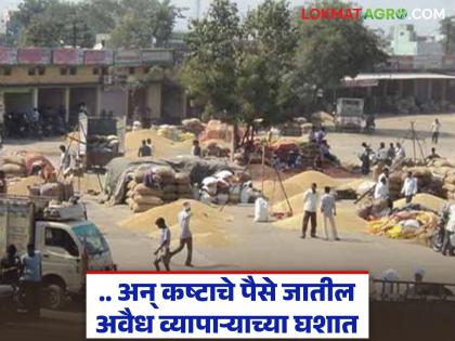 One mistake and your hard-earned money will go down the hand of an illegal trader; Farmer brothers, beware of illegal traders | एक चूक अन् कष्टाचे पैसे जातील अवैध व्यापाऱ्याच्या घशात; शेतकरी बांधवांनो अवैध व्यापाऱ्यांपासून सावध रहा One mistake and your hard-earned money will go down the hand of an illegal trader; Farmer brothers, beware of illegal traders | एक चूक अन् कष्टाचे पैसे जातील अवैध व्यापाऱ्याच्या घशात; शेतकरी बांधवांनो अवैध व्यापाऱ्यांपासून सावध रहा