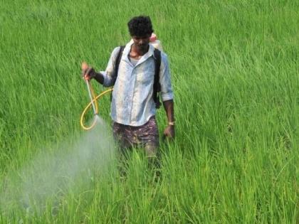 36 farmers poisoned by spraying pesticides in Yavatmal district | यवतमाळ जिल्ह्यात फवारणीतून ३६ शेतकऱ्यांना विषबाधा