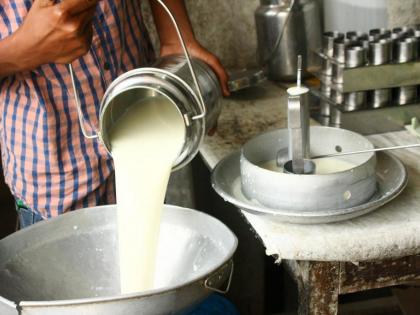 Chandrapur district milk producer in trouble because the prices are not getting | भाव मिळत नसल्याने चंद्रपूर जिल्ह्यातील दूध उत्पादक हवालदिल