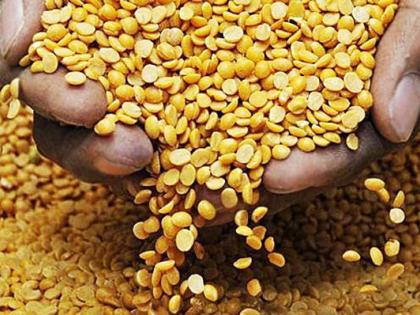 Thousands of quintals fall away | हजारो क्विंटल तूर पडून Thousands of quintals fall away | हजारो क्विंटल तूर पडून