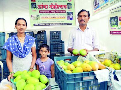 An annual income of ten lakh rupees from mango production; A highly educated person did alchemy without looking for a job | आंबा उत्पादनातून वर्षाकाठी दहा लाख रुपयांचे उत्पन्न; नोकरीच्या मागे न लागता उच्चशिक्षिताने केली किमया