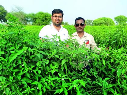 Directions changed from technology to agriculture | तंत्रज्ञानातून बदलली शेतीची दिशा