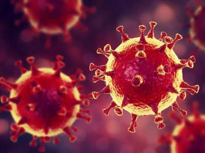 Corona virus: Increase of new corona virus in Pune city on Saturday 1838; 18 killed | Corona virus : पुणे शहरात शनिवारी १८३८ नवीन कोरोना बाधितांची वाढ; १८ जणांचा मृत्यू