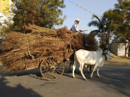 800 crore relief fund to 28 drought-hit districts of western Vidarbha | पश्चिम विदर्भातील दुष्काळी २८ तालुक्यांना ८०० कोटींचा मदतनिधी