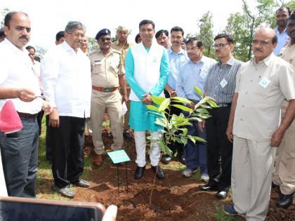 13 thousand seedlings planted at Shivaji University | शिवाजी विद्यापीठात १३ हजार रोपांची लागवड