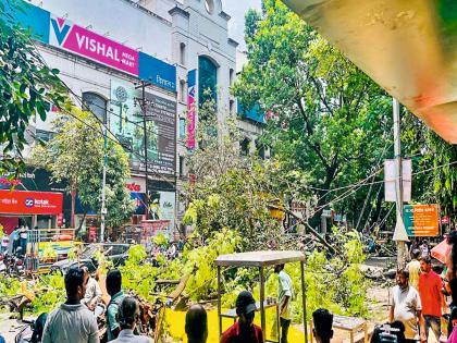 pune news and the tea lover narrowly escaped, a branch broke off one tree; another tree fell, the wire became dangerous | ...अन् थोडक्यात बचावले चहाप्रेमी;फांदी तोडली एका झाडाची,कोसळले दुसरेच झाड pune news and the tea lover narrowly escaped, a branch broke off one tree; another tree fell, the wire became dangerous | ...अन् थोडक्यात बचावले चहाप्रेमी;फांदी तोडली एका झाडाची,कोसळले दुसरेच झाड