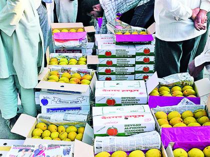 Arrival of mango from Sangli to demand for Gudi Padwa | महागाईच्या झुल्यावरून सांगलीत आंब्याचे आगमन, गुढीपाडव्यासाठी मागणी