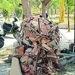 Forest Department 'fail' to protect sandalwood trees | चंदन झाडांच्या सुरक्षेत वनविभाग ‘फेल’