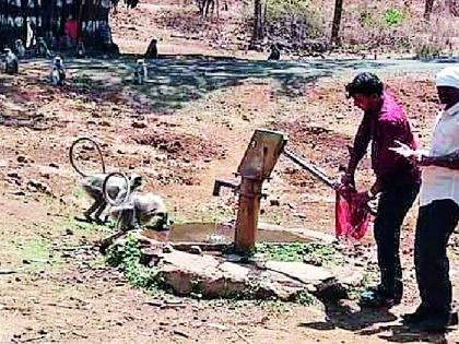 Handpumps carry 'to' for wild animals | वन्यप्राण्यांसाठी ‘ते’ हापसतात हातपंप