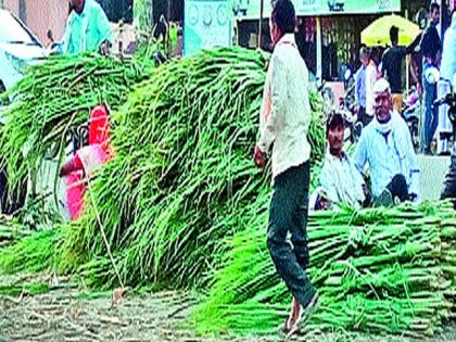 Increase in demand for sugarcane pots for animal husbandry | जनावरांच्या चाऱ्यासाठी ऊस बांड्यांच्या मागणीत वाढ