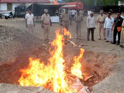 92 kg of Ganja destroyed in Beed | बीडमध्ये ९२ किलो गांजा नष्ट