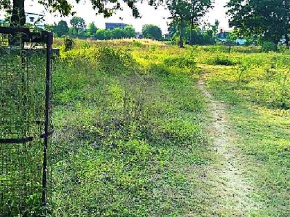 Project Green's one-and-a-half lakh rupees | भंडारा जिल्ह्यात प्रोजेक्ट ग्रीनचे दीड लक्ष रुपये मातीमोल Project Green's one-and-a-half lakh rupees | भंडारा जिल्ह्यात प्रोजेक्ट ग्रीनचे दीड लक्ष रुपये मातीमोल