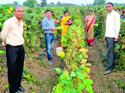 Tanaji Gaidhane giving the mantra of development to the farmers through organic farming | सेंद्रिय शेतीतून शेतकऱ्यांना विकासाचा मंत्र देणारे तानाजी गायधने Tanaji Gaidhane giving the mantra of development to the farmers through organic farming | सेंद्रिय शेतीतून शेतकऱ्यांना विकासाचा मंत्र देणारे तानाजी गायधने