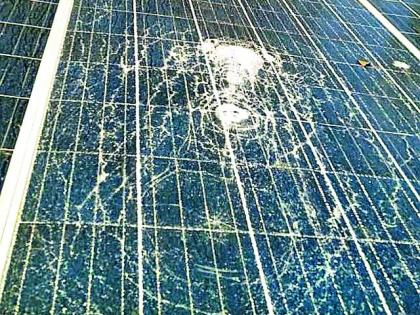 Solarpump failure due to collapse of tree branches | वृक्षाची फांदी कोसळल्याने सोलरपंप निकामी Solarpump failure due to collapse of tree branches | वृक्षाची फांदी कोसळल्याने सोलरपंप निकामी