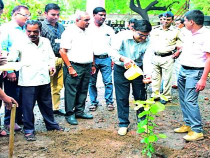 Tree planting should be a movement | वृक्ष लागवड ही चळवळ व्हावी