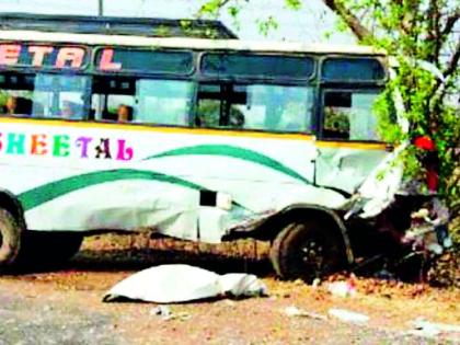 Three killed in traffic jams | ट्रॅव्हल्स-मॅक्स वाहनाच्या धडकेत तीन ठार