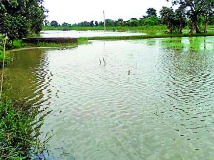 Transfer of 'Farming' Beneficiaries to Drought Farm | बुडीत शेतीचे 'सबळीकरण' लाभार्थ्यांना हस्तांतरण